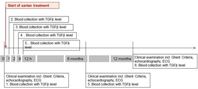 TGFβ level in healthy and children with Marfan syndrome—effective reduction under sartan therapy